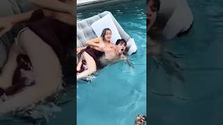 Oh shit prank dobrebrothers funny pool lucasandmarcus comedy fail enjoy dance couple usa [upl. by Allen501]