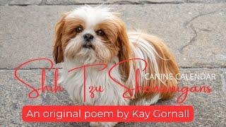 SHIH TZU SHENANIGANS Canine Calendar Poem [upl. by Eniron]