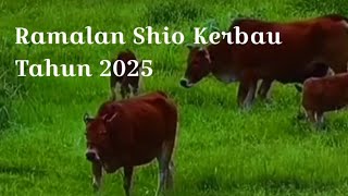 Ramalan Shio Kerbau Tahun 2025 [upl. by Presber]