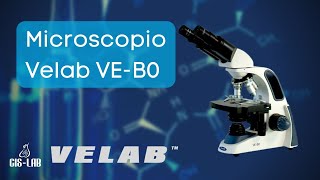 Microscopio práctico para clínicas  Velab VEB0  CisLab [upl. by Catto]