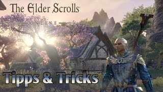 TESO Addon Guide 0 Minion  Addons Vorstellung amp Anleitung Download Install elderscrollsonline [upl. by Awra]