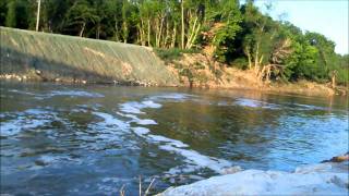 River Monsters Alligator Gar Feeding Frenzy on Trinity River at Dallas Waves Whitewater Park Dallas [upl. by Warner]