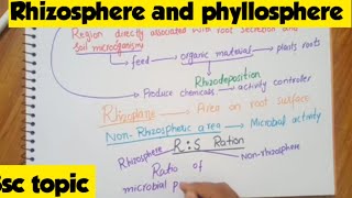 Rhizosphere and phyllosphere in Hindi and UrdumicrobiologyBacteriology botany [upl. by Wulf567]