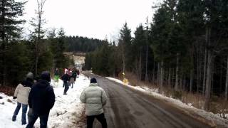 Robert Kubica vs Audi Quattro  Reaction [upl. by Alexine]