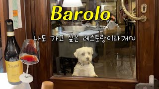 🇮🇹바롤로 현지인 추천 레스토랑 La Cantinetta 추천 와인 Marcarini 피에몬테 barolowine [upl. by Adahsar]