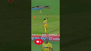 DJ BRAVO cricket love bravo [upl. by Annairba196]