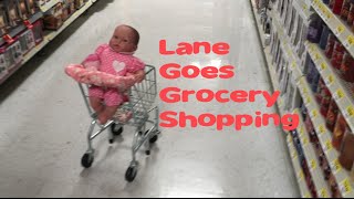 Lane Goes Grocery Shopping [upl. by Trimmer153]