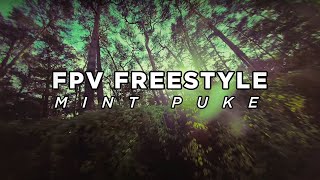 FPV Freestyle  MintPvke [upl. by Jaret979]