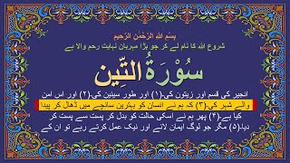 Quran Surah 95 At Tin Complete Urdu Translation Read and Listen [upl. by Etna714]