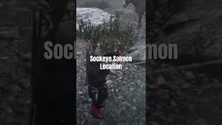 Red Dead Redemption 2 Sockeye Salmon Location arrakisstudio gaming rdr2 rdrgameplay xbox [upl. by Cornelie]