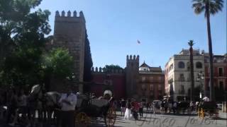 Sevilla  Fondo Flamenco [upl. by Sanburn587]