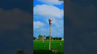 Hanging A Cross Arm  Electrical Lineman  shorts lineman ytshorts [upl. by Assenal]