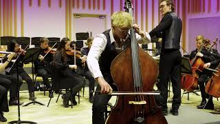 Serge Koussevitzky  Double Bass Concerto with String Orchestra [upl. by Jola]