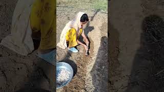 Koye bi kam muskil nhi h yutubeshorts subscribe Mridul vlogger [upl. by Elder]