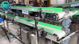 Sanitary Conveyor System  Innovus Technical Solutions [upl. by Enrique]