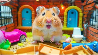 Epic Escape 🐹 Hamster vs Giant Fiery Sand Maze 🏖️ Hamster Maze [upl. by Eimar719]