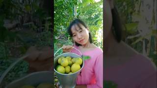 Simple way to make lemon Tea  mini Vlog [upl. by Haziza]