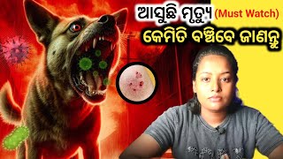 🦠 ଆପଣଙ୍କ ଘର ପାଖରେ ବୁଲୁଛି ଆପଣଙ୍କ ମୃତ୍ୟୁDont Ignore Rabies 😮 [upl. by Jacinda178]