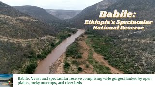 The Vast Spectacular Park of Babile  Erer amp Gobelle River Valleys  Ethiopia [upl. by Tenaj]