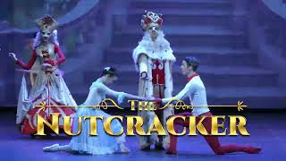 The Nutcracker the most Christmas fairy tale ballet for adults and children in Cyprus [upl. by Haleelahk]