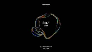 SELF  WTF Instrumental [upl. by Darees150]