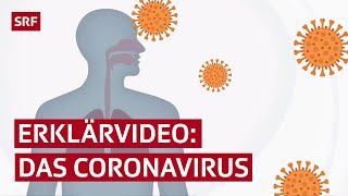 Coronavirus erklärt – das stellen die Covid19Viren in unserem Körper an  Erklärvideo  SRF News [upl. by Halet]