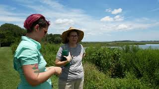 Ask an Archaeologist Day with Flagler College [upl. by Bertha211]