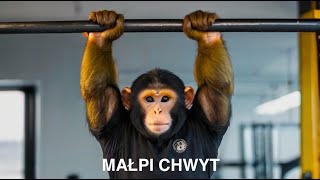 👊🏻👊🏻 MALPI CHWYT na sztandze  WYCISKANIE LEZAC WIOSLOWANIE DEADLIFT [upl. by Trembly]