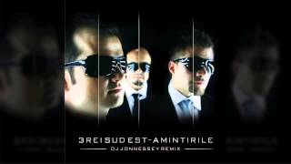 3REI SUD EST  AMINTIRILE DJ JONNESSEY REMIX 2014 [upl. by Aneeles]