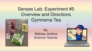 Senses Take Home Lab Kit Experiment 5 Gymnema Tea overview and directions anatomy [upl. by Fesuoy]