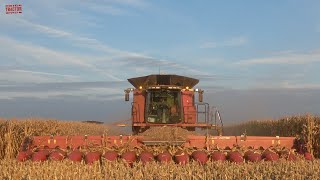 3000 Acre Corn Field Harvested by CASE IH 9250 Combines [upl. by Charbonneau]