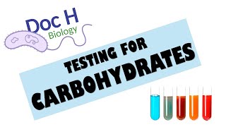 OCR ALevel Biology  Testing for carbohydrates 212 Biological Molecules [upl. by Amir]