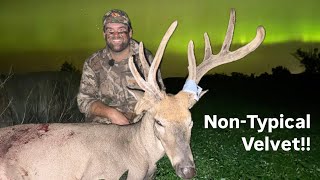 NonTypical Full Velvet Whitetail Archery Hunt [upl. by Derfnam446]