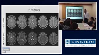 Introducing MRI Contrast Agents 13 of 56 [upl. by Louanna777]