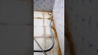 How to clean bathroom tiles amp walls  easily cleaning tips [upl. by Imled574]