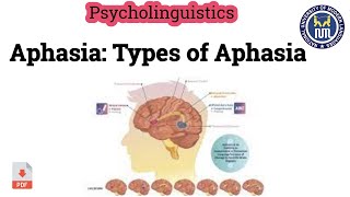 Aphasia  Types of Aphasia [upl. by Adnara]