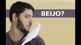 O que você precisa saber sobre beijar aves [upl. by Laise364]