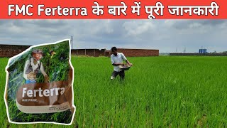 Ferterra  फरटेरा के बारे में पूरी जानकारी  धान में फरटेरा का प्रयोग  FMC Ferterra insecticide [upl. by Brandie]