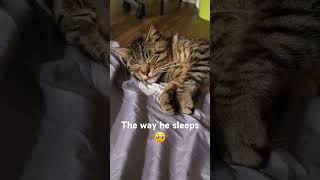 The way he sleeps [upl. by Fineberg]