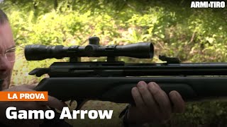 Gamo Arrow la Pcp entry level che coglie nel segno  La prova [upl. by Loella]