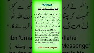 Sahih Muslim Hadiths 5455 sahihmuslim hadithscollection hadiofficial157 [upl. by Hittel]