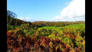 Eeuwig zingen de wolken bossen heuvels en dalen [upl. by Kevan]