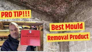 Whats in my Survey Kit 01 The Best Black Mould Removal TreatmentProduct [upl. by Vogel]