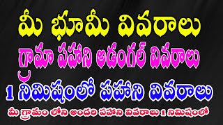 Ap Grama Adngal Records Village Adangal Pahani land pahani mee bhoomi ap mee bhoomi andhra pradesh [upl. by Gertrudis]