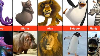 Madagascar Characters in Real Life  Comparison [upl. by Alecram]