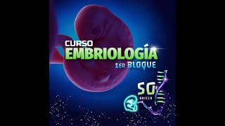 Alteraciones en meiosis y gametogénesis Embriologia [upl. by Marcellus]