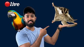 ലൈവ് ആയി കിളിക്കൂട് കാണാം Fishing Freaks is live [upl. by Marcell]