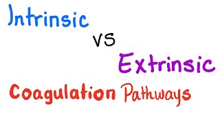 Intrinsic vs Extrinsic Coagulation pathways  Hemostasis  Bleeding and Coagulation [upl. by Adnamaa]