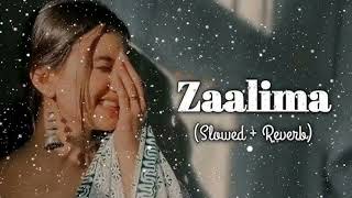 zaalima slowedReverb song subscribe 1k [upl. by Bridgette]