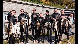 Spearfishing in Denmark  Öresund Scorpena Cup 2017 [upl. by Hyacinthia]